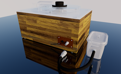 3D Model of RCM